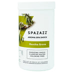 Chlorine Free Aroma Spa Shock - Mentha Grove