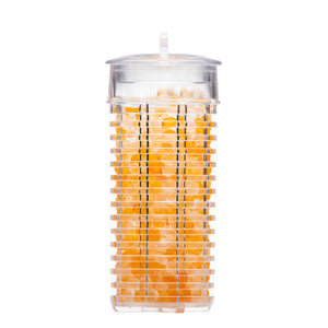 Honey Mango Beads
